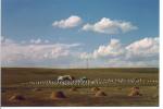 104 panorama.jpg